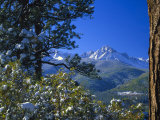 Snow Covered Trees and Sneffels Wilderness Range, Colorado, USA