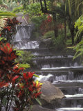 Spa and Gardens of Tabacon Hot Springs, Costa Rica