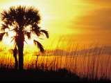 Buy Sunset near Folley Beach, Charleston, South Carolina, USA at AllPosters.com