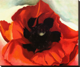 Buy Poppy at AllPosters.com