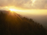 Buy Sunburst in Mt. Rainier National Park, Washington, USA at AllPosters.com