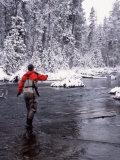 Buy Man Fly Fishing in Fall River, Oregon, USA at AllPosters.com