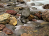 Buy Stones in the Creek Below Baring Falls, Montana, USA at AllPosters.com