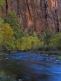Buy Virgin River Flows Through Zion Canyon, Utah, USA at AllPosters.com