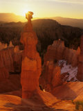 Buy Hoodoos of Bryce Canyon, Utah, USA at AllPosters.com