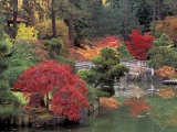 Kiri Pond and Bridge in a Japanese Garden, Spokane, Washington, USA