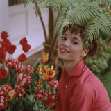 Buy Portrait of Actress Elsa Martinelli at AllPosters.com