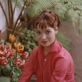 Buy Portrait of Actress Elsa Martinelli at AllPosters.com