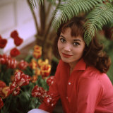Buy Portrait of Actress Elsa Martinelli at AllPosters.com