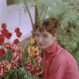 Buy Portrait of Actress Elsa Martinelli at AllPosters.com