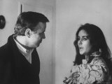 Buy Director Franco Zeffirelli Talking with Actress Elizabeth Taylor, Who Has a Bird on Her Shoulder at AllPosters.com