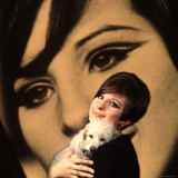 Singer and Actress Barbra Streisand Holding Small Dog in Her Arms