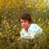 Buy Actor Warren Beatty Sitting in Field of Flowers at AllPosters.com