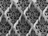 Buy Detail Close Up of a Frieze in the Alhambra Palace, the One Time Citadel of Moorish Kings at AllPosters.com