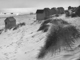 Buy Cabanas Sitting on Sand Dunes with Clumps of Sea Grass Next to Rowboats at AllPosters.com