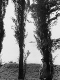 Buy British Actor Alec Guinness Standing in His Favorite Spot for Wandering and Thinking at AllPosters.com