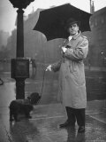 Buy Actor Fredric March with His Cocker Spaniel on the Street on a Rainy Day at AllPosters.com