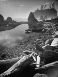 Olympic National Park Peninsula at Ruby Beach During Low Tide with a Brook Fed Pool
