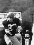 Quarterback with Cincinnati Bengals Greg Cook, During AFL Game Against Kansas City Chiefs