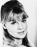 Buy Julie Christie at AllPosters.com
