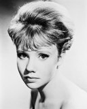 Buy Hayley Mills at AllPosters.com