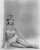 Shelley Fabares