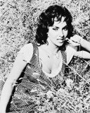 Gina Lollobrigida