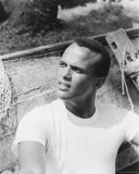 Harry Belafonte