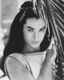 Shirley Anne Field