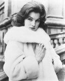 Shirley Anne Field