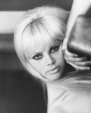 Buy Britt Ekland at AllPosters.com