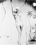 Buy Diana Dors at AllPosters.com