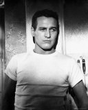 Buy Paul Newman at AllPosters.com