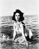 Elizabeth Taylor