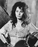 Sophia Loren