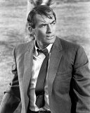 Buy Gregory Peck at AllPosters.com