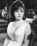 Buy Annette Funicello at AllPosters.com