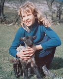 Buy Hayley Mills at AllPosters.com