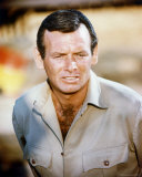 Buy David Janssen at AllPosters.com
