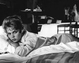 Brigitte Bardot