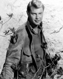 Buy Troy Donahue at AllPosters.com