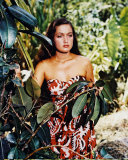 Buy Dorothy Lamour at AllPosters.com