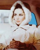 Buy Elizabeth Taylor at AllPosters.com