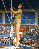 Gina Lollobrigida