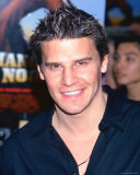 Buy David Boreanaz at AllPosters.com