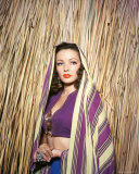 Buy Gene Tierney at AllPosters.com