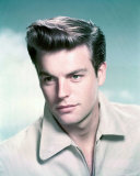 Buy Robert Wagner at AllPosters.com
