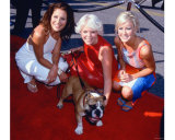 Dixie Chicks