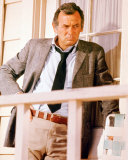 Buy David Janssen at AllPosters.com