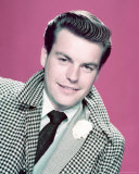 Buy Robert Wagner at AllPosters.com